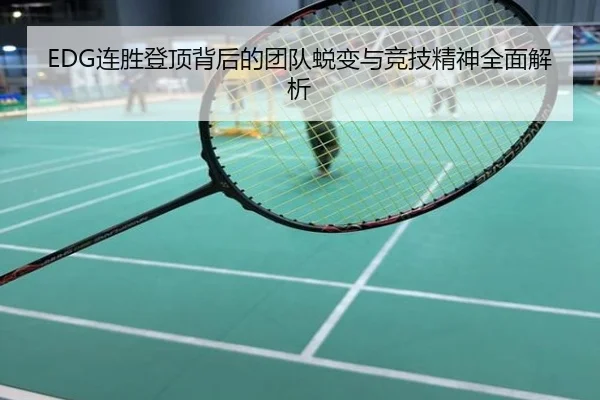 EDG连胜登顶背后的团队蜕变与竞技精神全面解析