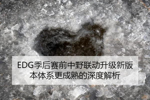 EDG季后赛前中野联动升级新版本体系更成熟的深度解析