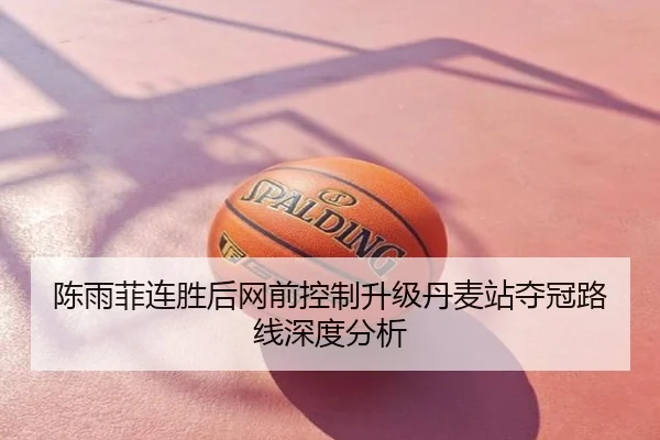 陈雨菲连胜后网前控制升级丹麦站夺冠路线深度分析